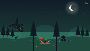 Lake Houston Wilderness Park night illustration with pine trees, creek and canoe under starry Houston sky