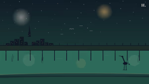 Sea Rim State Park marsh boardwalk at night, heron silhouette and Houston skyline in the distance