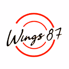 Wings 87 photo