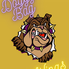 doggybag wings photo