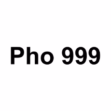 Pho 999 photo