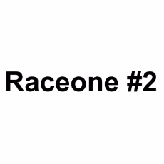 Raceone #2 photo