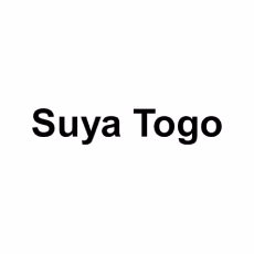 Suya Togo photo