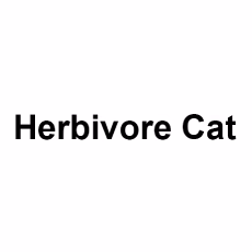 Herbivore Cat photo